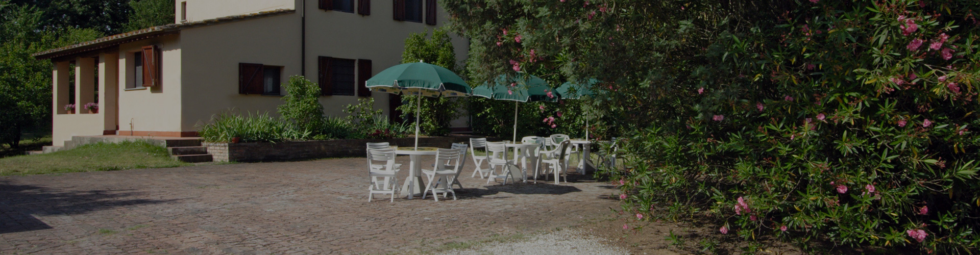 top-slider-casina